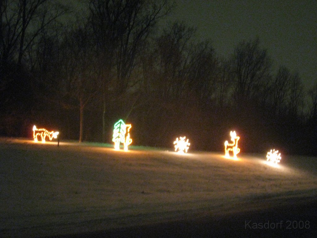 Christmas Lights Hines Drive 2008 052.jpg - The 2008 Wayne County Hines Drive Christmas Light Display. 4.5 miles of Christmas Light Displays and lots of animation!